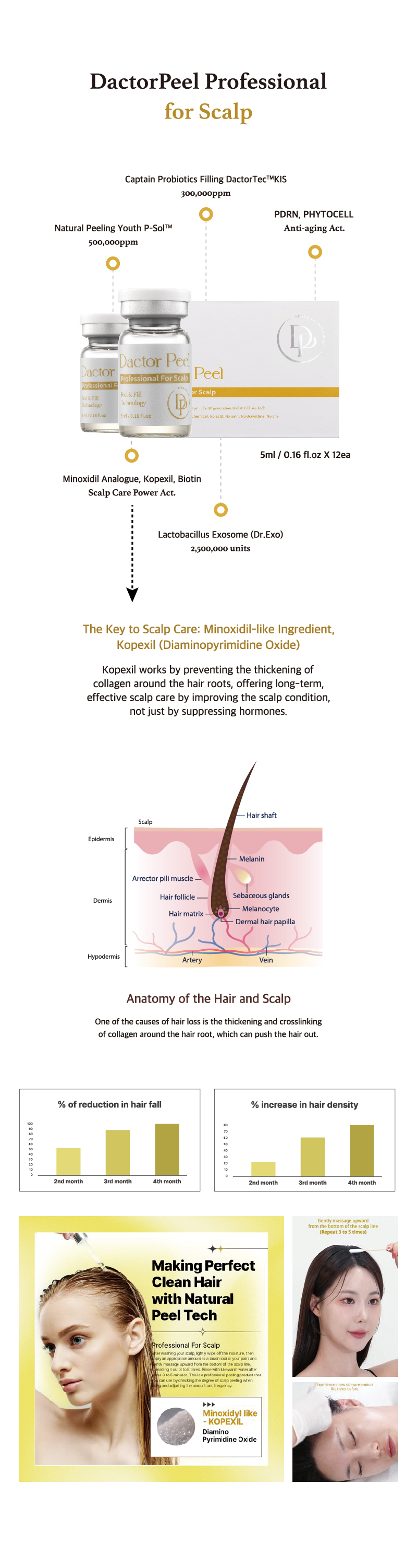 DactorPeel